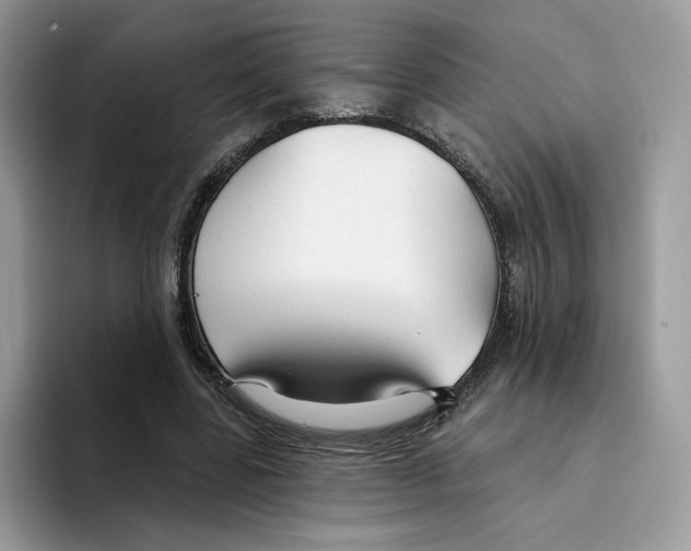 X0000094330539200711301230