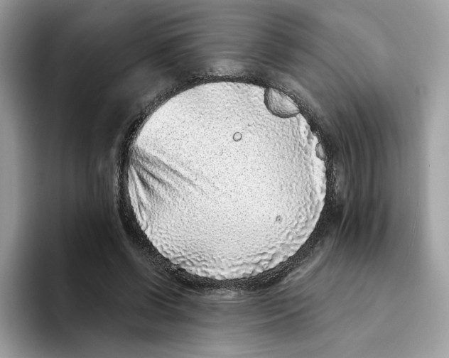 X0000094330542200711301230