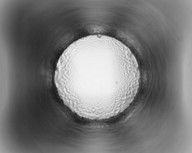 X0000094330545200711301230