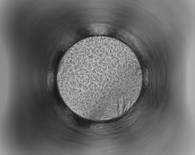 X0000094330551200711301230