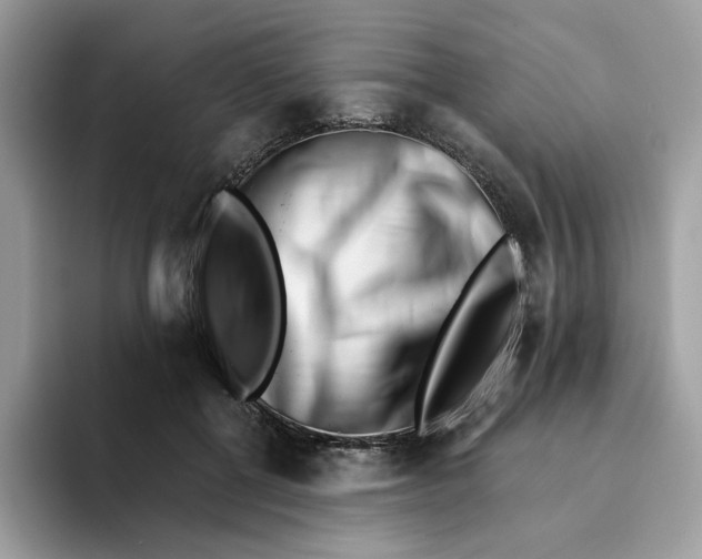 X0000094330552200711301230