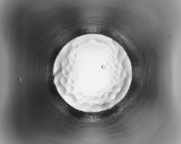 X0000094330553200711301230