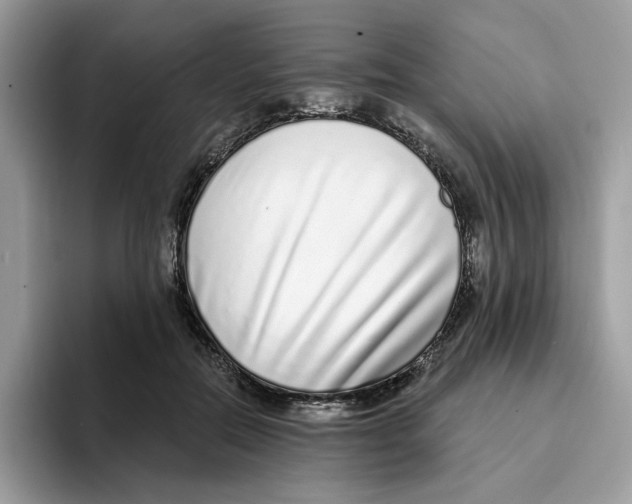 X0000094330554200711301230