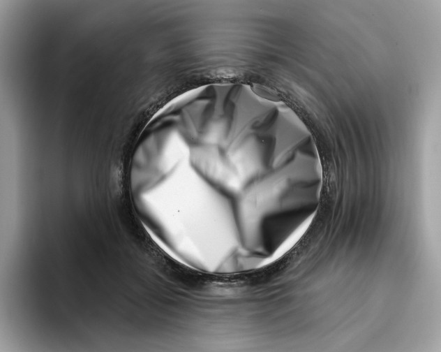 X0000094330556200711301231