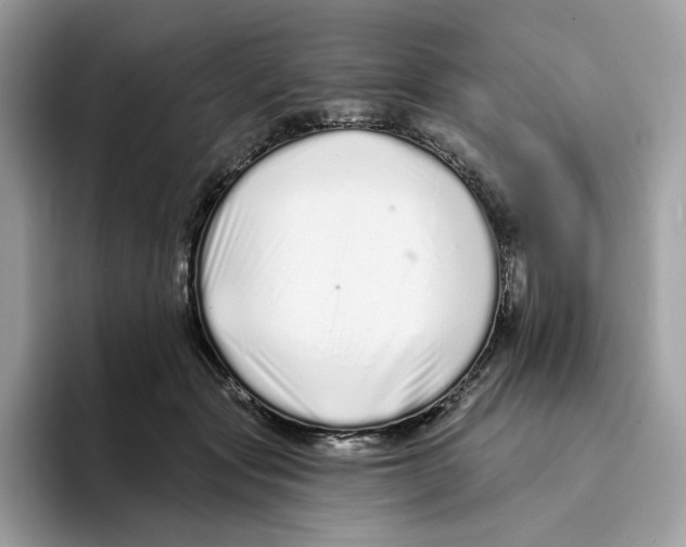 X0000094330557200711301231