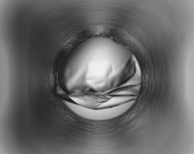 X0000094330558200711301231