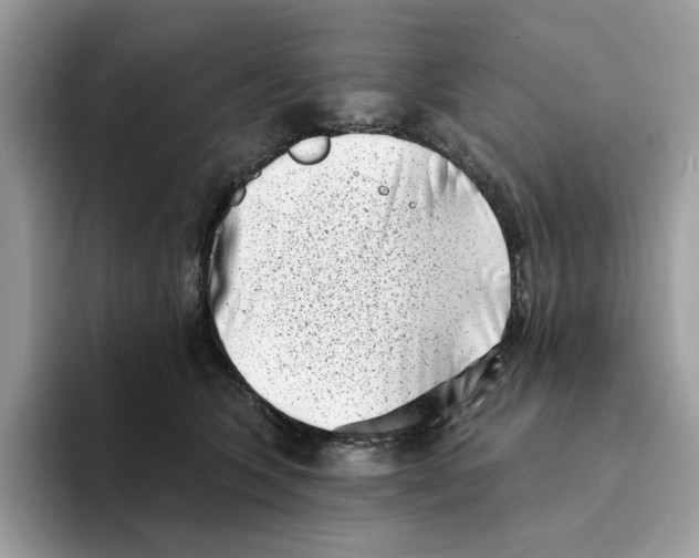 X0000094330563200711301231