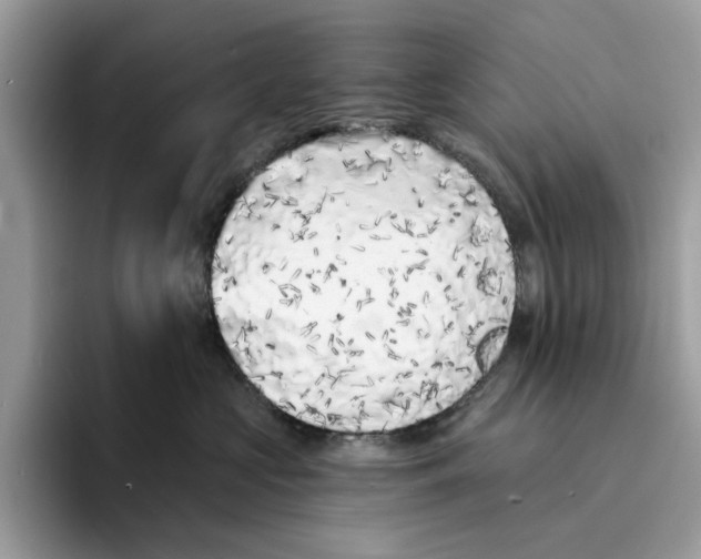 X0000094330573200711301231
