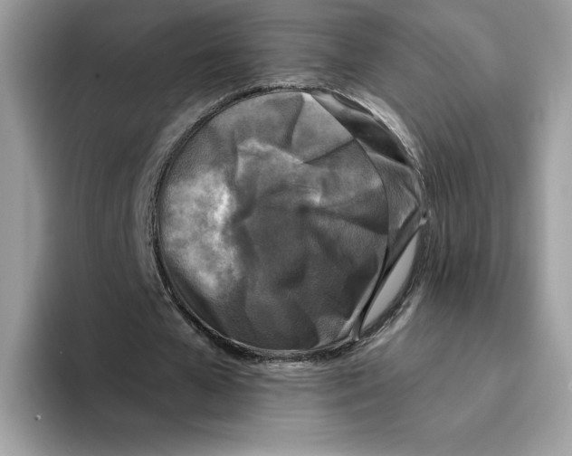 X0000094330577200711301230