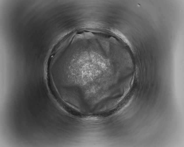 X0000094330581200711301230