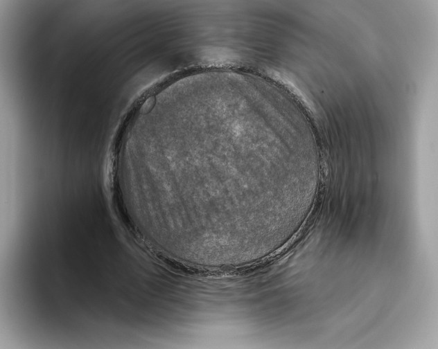 X0000094330583200711301230