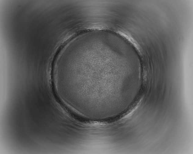 X0000094330585200711301230