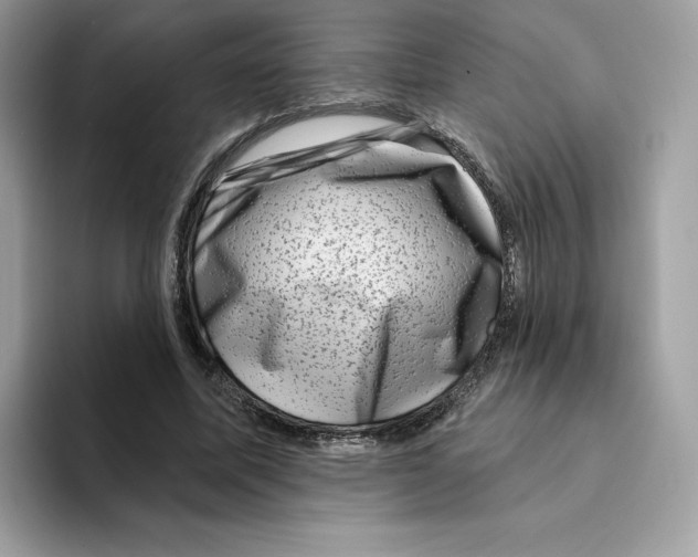 X0000094330587200711301230