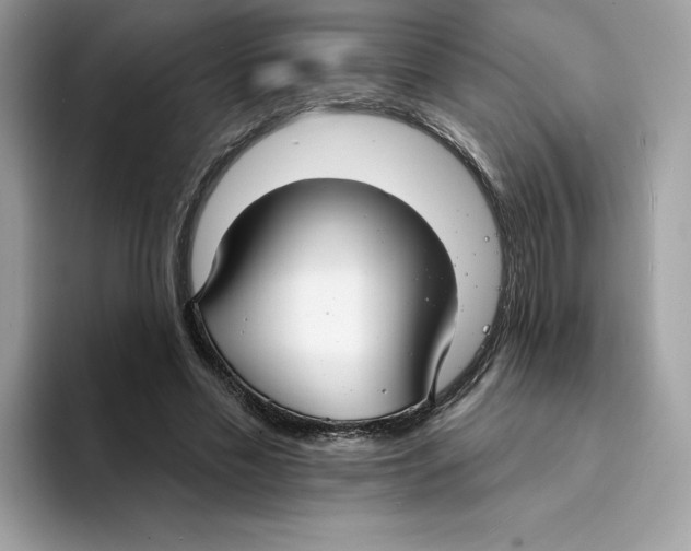 X0000094330589200711301230