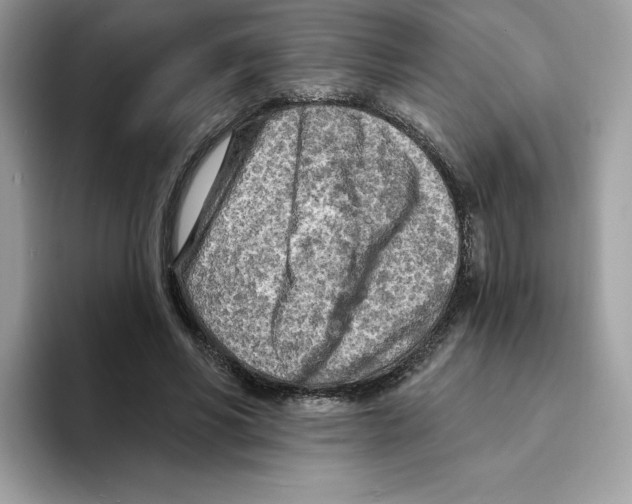 X0000094330590200711301230