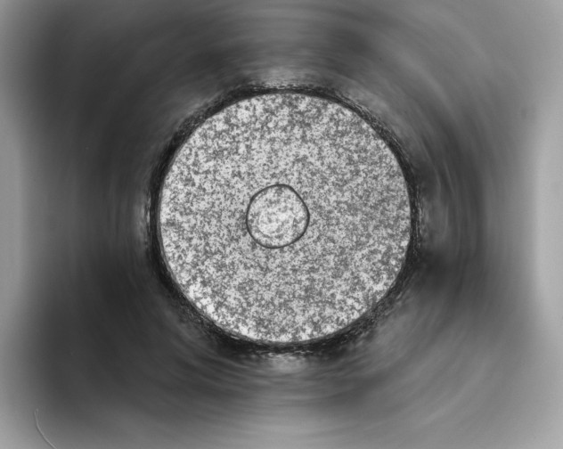 X0000094330592200711301230