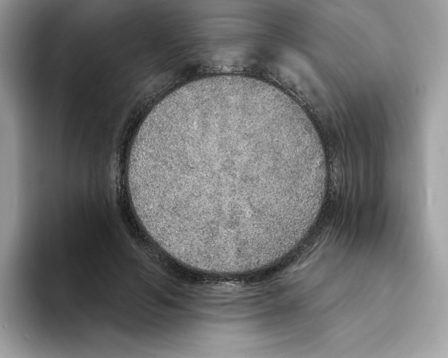 X0000094330594200711301230