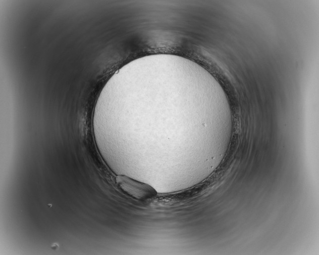 X0000094330599200711301230