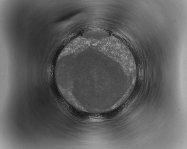 X0000094330603200711301230