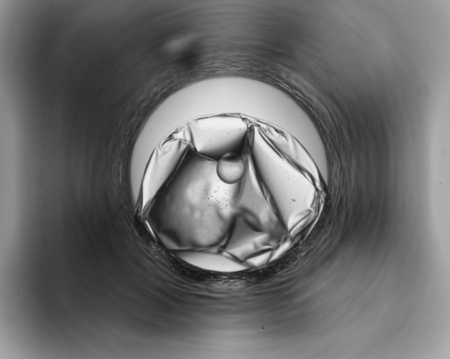 X0000094330604200711301230