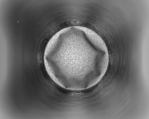 X0000094330606200711301230