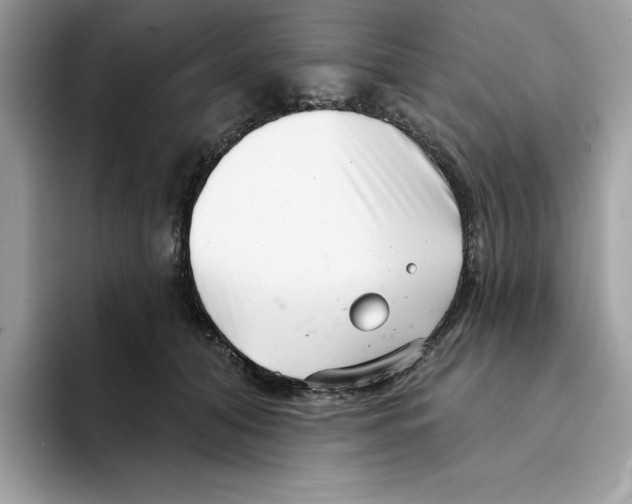 X0000094330608200711301230