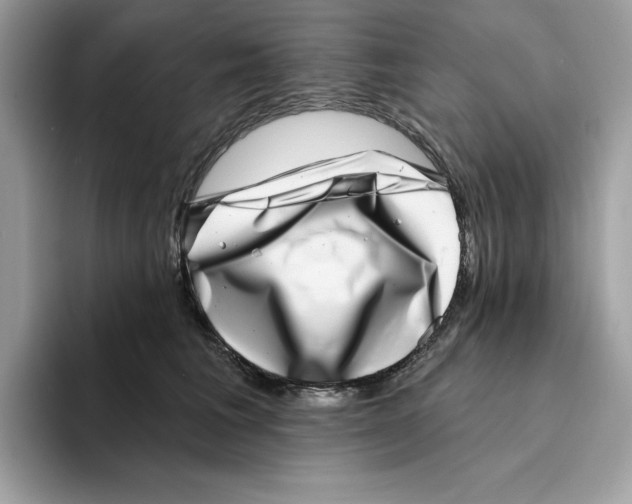 X0000094330613200711301230