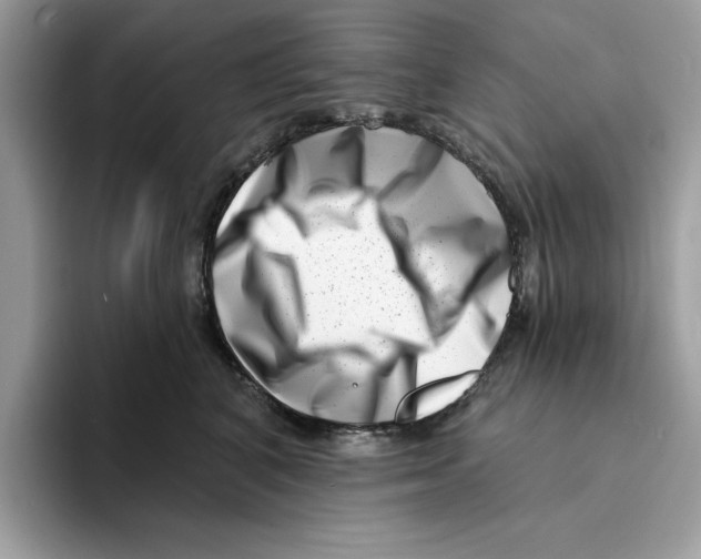 X0000094330616200711301230