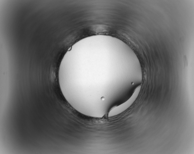 X0000094330618200711301230