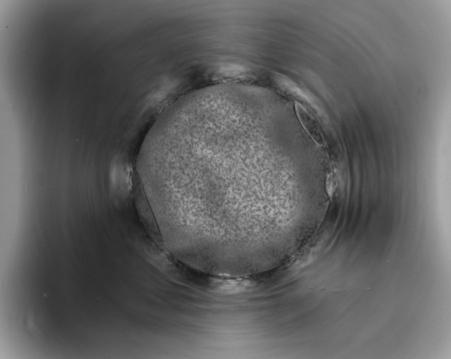 X0000094330621200711301230