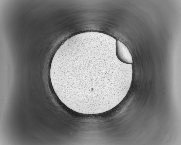 X0000094330625200711301229