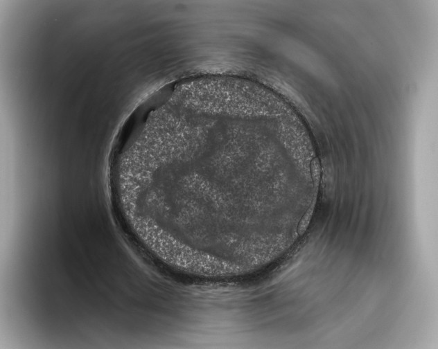 X0000094330626200711301229