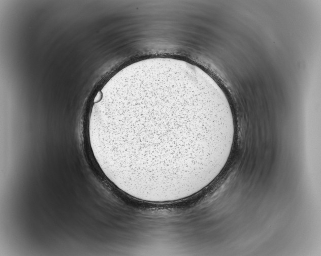 X0000094330629200711301229