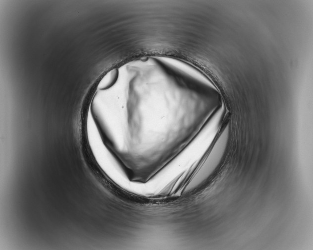 X0000094330630200711301229