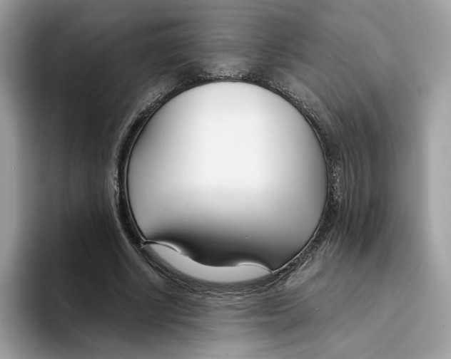 X0000094330634200711301229