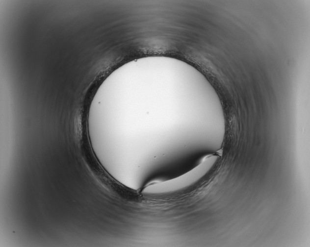 X0000094330638200711301229