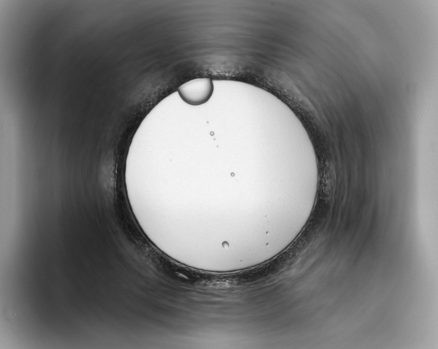 X0000094330639200711301229