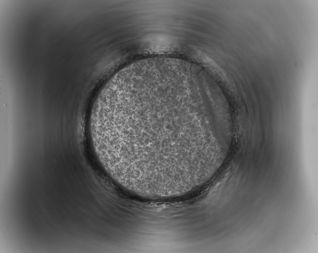 X0000094330640200711301229