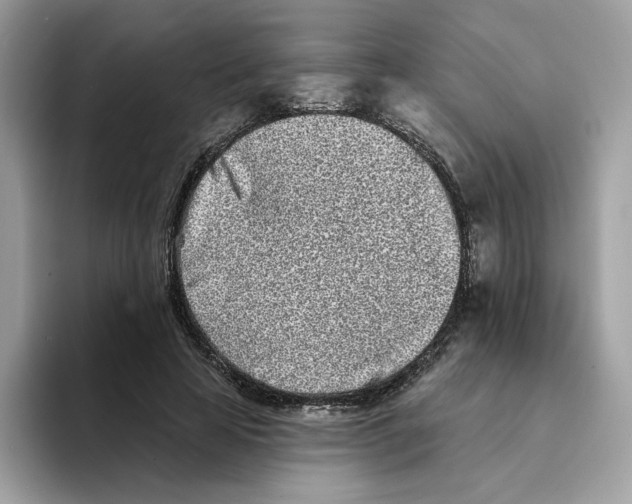 X0000094330641200711301229