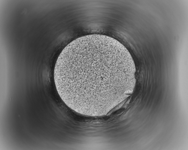 X0000094330643200711301229