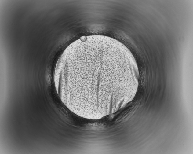 X0000094330644200711301229