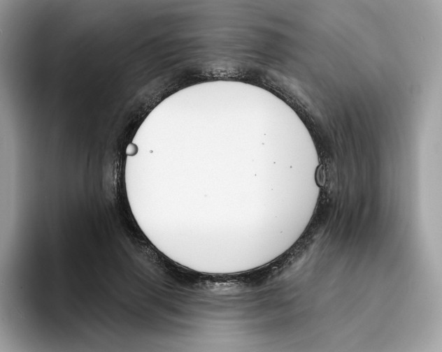 X0000094330645200711301229