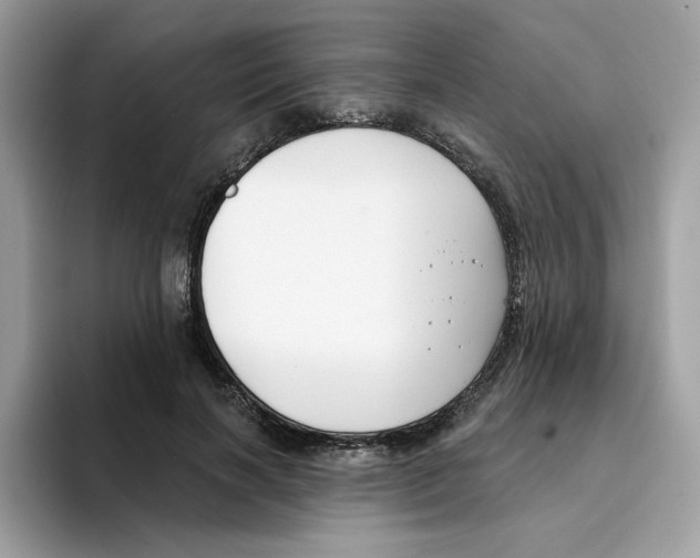 X0000094330646200711301229