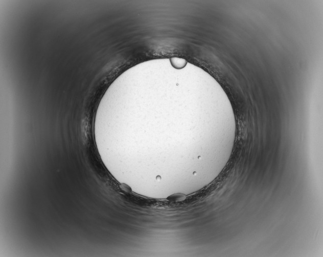 X0000094330648200711301229