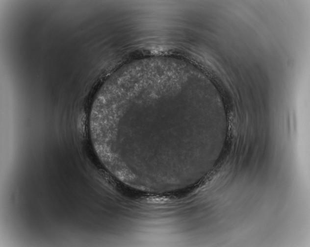 X0000094330650200711301229