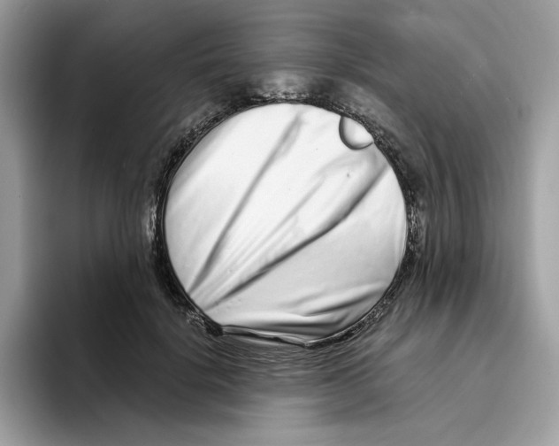 X0000094330652200711301229