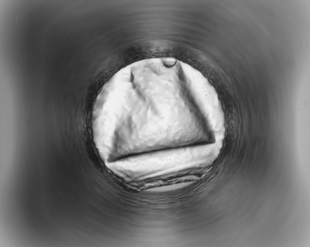 X0000094330654200711301229