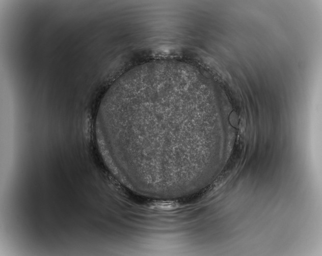 X0000094330659200711301229