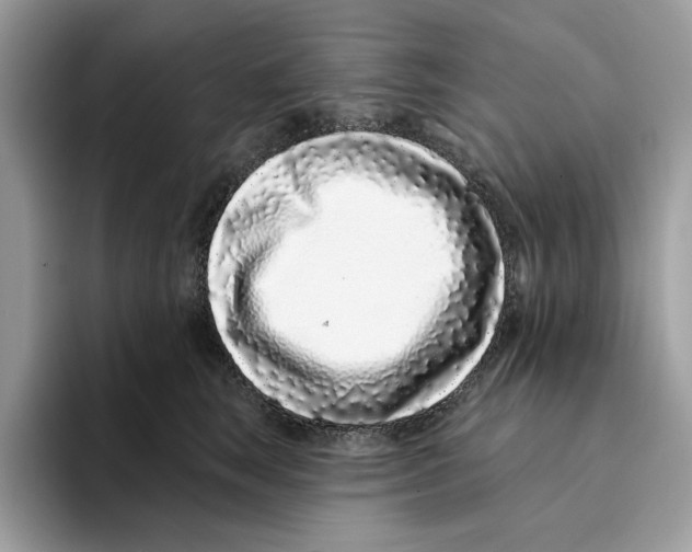 X0000094330663200711301229