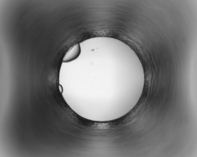 X0000094330665200711301229